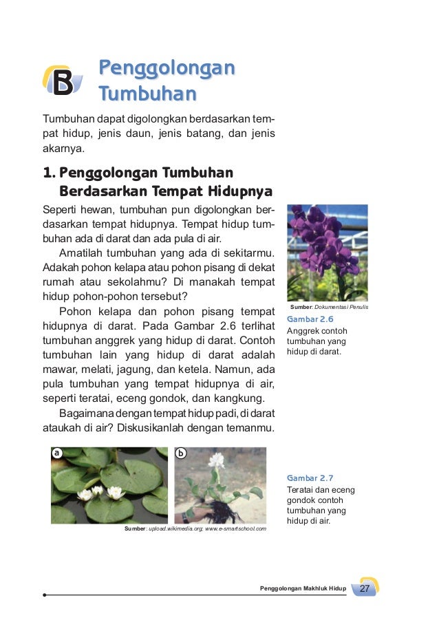 Senang Belajar Ipa Kelas 3