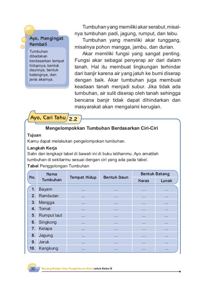 Senang Belajar Ipa Kelas 3