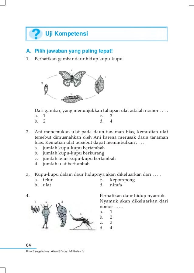 Penggolongan Hewan Penggolongan Hewan
