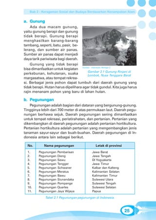 Bab 2 - Keragaman Sosial dan Budaya Berdasarkan Kenampakan Alam


a. Gunung
    Ada dua macam gunung,
yaitu gunung berapi dan gunung
tidak berapi. Gunung berapi
menghasilkan barang-barang
tambang, seperti, batu, pasir, be-
lerang, dan sumber air panas.
Sumber air panas dapat menjadi
daya tarik pariwisata bagi daerah.
    Gunung yang tidak berapi
bisa dimanfaatkan untuk kegiatan Sumber: Indonesian Heritage 2
                                        Gambar 2.1 Gunung Rinjani di
perkebunan, kehutanan, suaka            Lombok, Nusa Tenggara Barat
margasatwa, atau tempat rekrea-
si. Berbagai jenis pohon dapat tumbuh dari daerah gunung yang
tidak berapi. Hutan harus dipelihara agar tidak gundul. Kita juga harus
rajin menanam pohon yang baru di lahan hutan.

b. Pegunungan
     gunung
        ungan
    Pegunungan adalah bagian dari dataran yang bergunung-gunung.
Tingginya lebih dari 700 meter di atas permukaan laut. Daerah pegu-
nungan berhawa sejuk. Daerah pegunungan sering dimanfaatkan
untuk tempat rekreasi, peristirahatan, dan pertanian. Pertanian yang
dikembangkan di daerah pegunungan adalah pertanian hortikultura.
Pertanian hortikultura adalah pertanian yang mengembangkan jenis
tanaman sayur-sayur dan buah-buahan. Daerah pegunungan di In-
donesia antara lain sebagai berikut.

  No.       Nama pegunungan                  Letak di provinsi
  1.     Pegunungan   Pembarisan           Jawa Barat
  2.     Pegunungan   Dieng                Jawa Tengah
  3.     Pegunungan   Sewu                 DI Yogyakarta
  4.     Pegunungan   Tengger              Jawa Timur
  5.     Pegunungan   Schwaner             Kalbar dan Kalteng
  6.     Pegunungan   Meratus              Kalimantan Selatan
  7.     Pegunungan   Bawu                 Kalimantan Timur
  8.     Pegunungan   Siunandaka           Sulawesi Utara
  9.     Pegunungan   Pompange             Sulawesi Tengah
  10.    Pegunungan   Quarles              Sulawesi Selatan
  11.    Pegunungan   Jaya Wijaya          Papua

             Tabel 2.1 Pegunungan-pegunungan di Indonesia.



                                                                 25
 