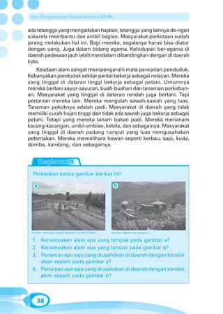 Ilmu Pengetahuan Sosial Kelas 4 SD/MI


ada tetangga yang mengadakan hajatan, tetangga yang lainnya de-ngan
sukarela membantu dan ambil bagian. Masyarakat perkotaan sudah
jarang melakukan hal ini. Bagi mereka, segalanya harus bisa diatur
dengan uang. Juga dalam bidang agama. Kehidupan ber-agama di
daerah pedesaan jauh lebih mendalam dibandingkan dengan di daerah
kota.
    Keadaan alam sangat mempengaruhi mata pencarian penduduk.
Kebanyakan penduduk sekitar pantai bekerja sebagai nelayan. Mereka
yang tinggal di dataran tinggi bekerja sebagai petani. Umumnya
mereka bertani sayur-sayuran, buah-buahan dan tanaman perkebun-
an. Masyarakat yang tinggal di dataran rendah juga bertani. Tapi
pertanian mereka lain. Mereka mengolah sawah-sawah yang luas.
Tanaman pokoknya adalah padi. Masyarakat di daerah yang tidak
memiliki curah hujan tinggi dan tidak ada sawah juga bekerja sebagai
petani. Tetapi yang mereka tanam bukan padi. Mereka menanam
kacang-kacangan, umbi-umbian, ketela, dan sebagainya. Masyarakat
yang tinggal di daerah padang rumput yang luas mengusahakan
peternakan. Mereka memelihara hewan seperti kerbau, sapi, kuda,
domba, kambing, dan sebagainya.




  Perhatikan kedua gambar berikut ini!

   a                                                  b




 Sumber: Indonesia Untaian Manikam di Khatulistiwa   Sumber: Negara dan Bangsa 3


 1. Kenampakan alam apa yang tampak pada gambar a?
 2. Kenampakan alam apa yang tampat pada gambar b?
 3. Pertanian apa saja yang diusahakan di daerah dengan kondisi
    alam seperti pada gambar a?
 4. Pertanian apa saja yang diusahakan di daerah dengan kondisi
    alam seperti pada gambar b?



    38
 