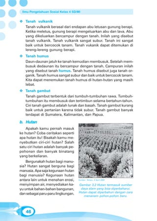 Ilmu Pengetahuan Sosial Kelas 4 SD/MI


   Tanah vulkanik
   Tanah vulkanik berasal dari endapan abu letusan gunung berapi.
   Ketika meletus, gunung berapi mengeluarkan abu dan lava. Abu
   yang dikeluarkan bercampur dengan tanah. Inilah yang disebut
   tanah vulkanik. Tanah vulkanik sangat subur. Tanah ini sangat
   baik untuk bercocok tanam. Tanah vukanik dapat ditemukan di
   lereng-lereng gunung berapi.
   Tanah humus
   Daun-daunan jatuh ke tanah kemudian membusuk. Setelah mem-
   busuk dedaunan itu bercampur dengan tanah. Campuran inilah
   yang disebut tanah humus. Tanah humus disebut juga tanah or-
   ganik. Tanah humus sangat subur dan baik untuk bercocok tanam.
   Kita dapat menemukan tanah humus di hutan-hutan yang masih
   lebat.
   Tanah gambut
   Tanah gambut terbentuk dari tumbuh-tumbuhan rawa. Tumbuh-
   tumbuhan itu membusuk dan tertimbun selama bertahun-tahun.
   Ciri tanah gambut adalah lunak dan basah. Tanah gambut kurang
   baik untuk pertanian karena tidak subur. Tanah gambut banyak
   terdapat di Sumatera, Kalimantan, dan Papua.

b. Hutan
    Apakah kamu pernah masuk
ke hutan? Coba ceritakan seperti
apa hutan itu! Bisakah kamu me-
nyebutkan ciri-ciri hutan? Salah
satu ciri hutan adalah banyak pe-
pohonan dan banyak binatang
yang berkeliaran.
    Bergunakah hutan bagi manu-
sia? Hutan sangat berguna bagi
manusia. Apa saja kegunaan hutan
bagi manusia? Kegunaan hutan
antara lain untuk menahan erosi,    Sumber: Tempo, 4 April 2004

menyimpan air, menyediakan ka-       Gambar 3.2 Hutan termasuk sumber
yu untuk bahan-bahan bangunan,        daya alam yang bisa diperbaharui.
dan sebagai paru-paru lingkungan.    Hutan dapat diperbahuri dengan cara
                                        menanam pohon-pohon baru.




   46
 