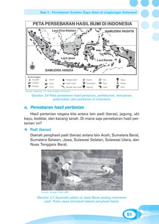 Bab 3 - Persebaran Sumber Daya Alam di Lingkungan Setempat


       PETA PERSEBARAN HASIL BUMI DI INDONESIA
       PETA PERSEBARAN       BUMI
                            Laut Cina Selatan                                           PASIFIK
                                                                                SAMUDRA PASIFIK




                                      Laut Jawa
                                                                           Laut Banda


                     SAMUDRA HINDIA

  Keterangan:
       Cengkih            Karet             Kelapa sawit        Kapuk         Teh       Sagu
       Cokelat            Kopi              Hasil hutan         Tembakau      Pala      Rotan
       Kelapa             Kina              Minyak kayu putih   Jagung        Lada      Padi

Sumber: Wibisono, C.Y., Atlas Lengkap 33 Provinsi

      Gambar 3.6 Peta persebaran hasil pertanian, perkebunan, kehutanan,
                   peternakan, dan perikanan di Indonesia.

    ersebaran
      sebar         pertanian
a. Persebaran hasil pertanian
    Hasil pertanian negara kita antara lain padi (beras), jagung, ubi
kayu, kedelai, dan kacang tanah. Di mana saja persebaran hasil per-
tanian ini?
     Padi (beras)
     Daerah penghasil padi (beras) antara lain Aceh, Sumatera Barat,
     Sumatera Selatan, Jawa, Sulawesi Selatan, Sulawesi Utara, dan
     Nusa Tenggara Barat.




                 Sumber: Kompas 2 April 2008


            Gambar 3.7 Sejumlah petani di Jawa Barat sedang memanen
               padi. Pulau Jawa termasuk daerah penghasil beras.



                                                                                                51
 
