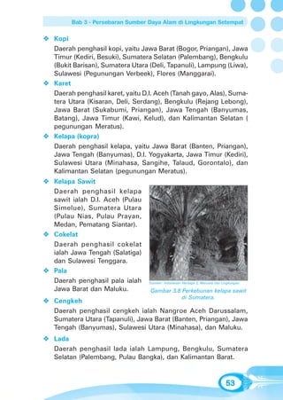 Bab 3 - Persebaran Sumber Daya Alam di Lingkungan Setempat


Kopi
Daerah penghasil kopi, yaitu Jawa Barat (Bogor, Priangan), Jawa
Timur (Kediri, Besuki), Sumatera Selatan (Palembang), Bengkulu
(Bukit Barisan), Sumatera Utara (Deli, Tapanuli), Lampung (Liwa),
Sulawesi (Pegunungan Verbeek), Flores (Manggarai).
Karet
Daerah penghasil karet, yaitu D.I. Aceh (Tanah gayo, Alas), Suma-
tera Utara (Kisaran, Deli, Serdang), Bengkulu (Rejang Lebong),
Jawa Barat (Sukabumi, Priangan), Jawa Tengah (Banyumas,
Batang), Jawa Timur (Kawi, Kelud), dan Kalimantan Selatan (
pegunungan Meratus).
Kelapa (kopra)
Daerah penghasil kelapa, yaitu Jawa Barat (Banten, Priangan),
Jawa Tengah (Banyumas), D.I. Yogyakarta, Jawa Timur (Kediri),
Sulawesi Utara (Minahasa, Sangihe, Talaud, Gorontalo), dan
Kalimantan Selatan (pegunungan Meratus).
Kelapa Sawit
Daerah penghasil kelapa
sawit ialah D.I. Aceh (Pulau
Simelue), Sumatera Utara
(Pulau Nias, Pulau Prayan,
Medan, Pematang Siantar).
Cokelat
Daerah penghasil cokelat
ialah Jawa Tengah (Salatiga)
dan Sulawesi Tenggara.
Pala
Daerah penghasil pala ialah    Sumber: Indonesian Heritage 2, Manusia dan Lingkungan.

Jawa Barat dan Maluku.          Gambar 3.8 Perkebunan kelapa sawit
                                           di Sumatera.
Cengkeh
Daerah penghasil cengkeh ialah Nangroe Aceh Darussalam,
Sumatera Utara (Tapanuli), Jawa Barat (Banten, Priangan), Jawa
Tengah (Banyumas), Sulawesi Utara (Minahasa), dan Maluku.
Lada
Daerah penghasil lada ialah Lampung, Bengkulu, Sumatera
Selatan (Palembang, Pulau Bangka), dan Kalimantan Barat.



                                                                            53
 
