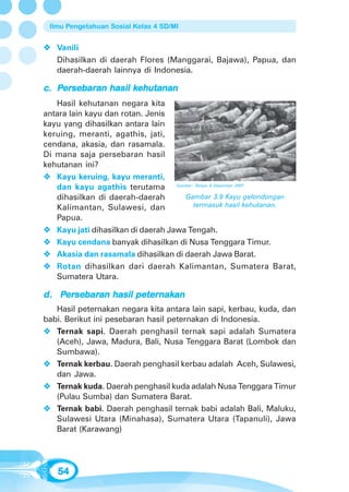 Ilmu Pengetahuan Sosial Kelas 4 SD/MI


   Vanili
   Dihasilkan di daerah Flores (Manggarai, Bajawa), Papua, dan
   daerah-daerah lainnya di Indonesia.

    ersebaran
      sebar         kehutanan
c. Persebaran hasil kehutanan
   Hasil kehutanan negara kita
antara lain kayu dan rotan. Jenis
kayu yang dihasilkan antara lain
keruing, meranti, agathis, jati,
cendana, akasia, dan rasamala.
Di mana saja persebaran hasil
kehutanan ini?
   Kayu keruing, kayu meranti,
   dan kayu agathis terutama         Sumber: Tempo 9 Desember 2007


   dihasilkan di daerah-daerah           Gambar 3.9 Kayu gelondongan
   Kalimantan, Sulawesi, dan               termasuk hasil kehutanan.
   Papua.
   Kayu jati dihasilkan di daerah Jawa Tengah.
   Kayu cendana banyak dihasilkan di Nusa Tenggara Timur.
   Akasia dan rasamala dihasilkan di daerah Jawa Barat.
   Rotan dihasilkan dari daerah Kalimantan, Sumatera Barat,
   Sumatera Utara.

   Persebar
    ersebaran       peternakan
d. Persebaran hasil peternakan
   Hasil peternakan negara kita antara lain sapi, kerbau, kuda, dan
babi. Berikut ini pesebaran hasil peternakan di Indonesia.
   Ternak sapi. Daerah penghasil ternak sapi adalah Sumatera
   (Aceh), Jawa, Madura, Bali, Nusa Tenggara Barat (Lombok dan
   Sumbawa).
   Ternak kerbau. Daerah penghasil kerbau adalah Aceh, Sulawesi,
   dan Jawa.
   Ternak kuda. Daerah penghasil kuda adalah Nusa Tenggara Timur
   (Pulau Sumba) dan Sumatera Barat.
   Ternak babi. Daerah penghasil ternak babi adalah Bali, Maluku,
   Sulawesi Utara (Minahasa), Sumatera Utara (Tapanuli), Jawa
   Barat (Karawang)




   54
 