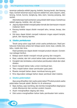 Ilmu Pengetahuan Sosial Kelas 4 SD/MI


tanaman palawija adalah jagung, kedelai, kacang tanah, dan kacang
hijau. Contoh tanaman sayur-sayuran adalah kol, sawi, bayam, cabe,
terong, tomat, buncis, kangkung, labu siam, kacang panjang, dan
wortel.
    Ada beberapa hasil pertanian yang diolah lebih lanjut. Contohnya
adalah jagung, kedelai, dan ubi kayu.
    Jagung dapat diolah menjadi pakan ternak dan bermacam-macam
    makanan kecil.
    Kacang kedelai dapat diolah menjadi tahu, tempe, kecap, dan
    susu.
    Ubi kayu dapat diolah menjadi makanan ringan seperti keripik,
    getuk, dan tepung tapioka.

         perk
b. Usaha perkebunan
   Tanah yang subur juga baik untuk usaha perkebunan. Hasil per-
kebunan Indonesia antara lain kelapa sawit, karet, kopi, cokelat, teh,
tebu, rosela dan kina.
   Hasil perkebunan dapat diolah menjadi produk industri. Contoh-
nya sebagai berikut.
   Kelapa sawit diolah menjadi minyak goreng dan margarin.
   Kopi, cokelat, dan teh untuk bahan baku pembuatan minuman.
   Cengkeh dan tembakau untuk bahan pembuatan rokok dan obat-
   obatan.
   Karet menjadi bahan baku untuk membuat ban.
   Tebu mejadi bahan dasar pembuatan gula pasir.
   Rosela menjadi bahan dasar membuat karung goni.
   Kina digunakan sebagai bahan dasar pembuat obat malaria.

c. Usaha peternakan
   Apa yang dihasilkan dari usaha peternakan? Produk-produk usaha
peternakan banyak sekali. Berikut ini di antaranya.
   Sapi, kerbau, sapi, kambing, dan domba menghasilkan dagingnya
   untuk dikonsumsi dan sumber protein hewani.
   Ayam menghasilkan daging dan telur.
   Ulat sutera menghasilkan bahan baku pembuatan kain sutera.




   60
 
