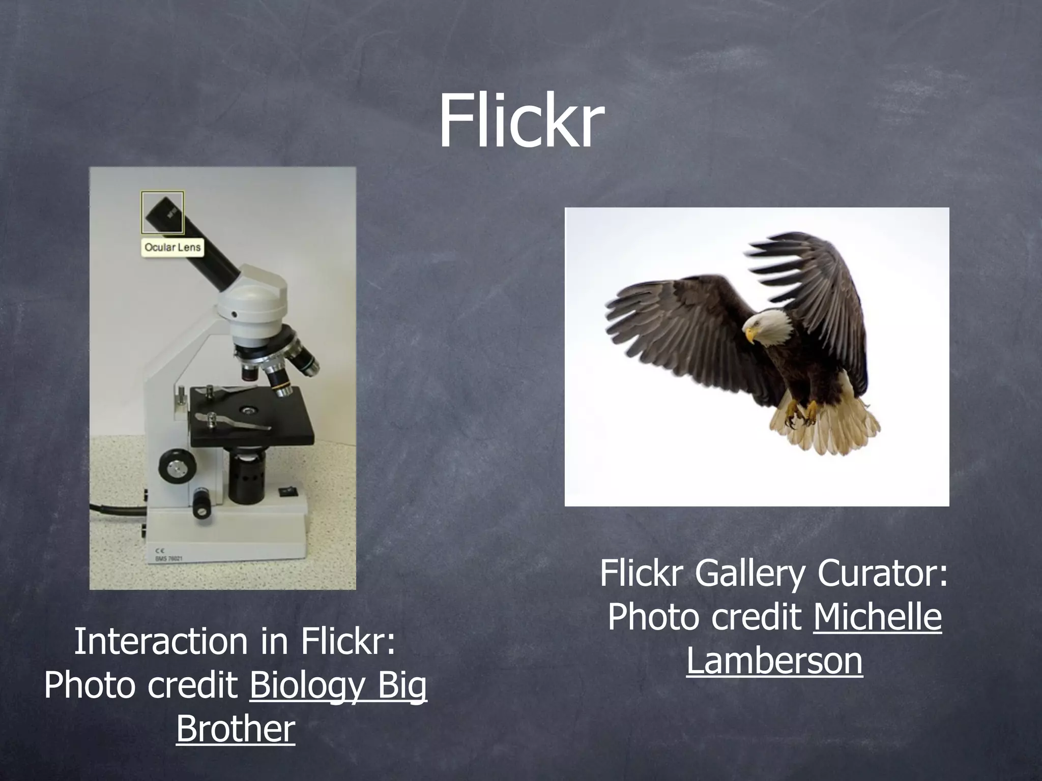 Flickr




                                Flickr Gallery Curator:
                                Photo credit Michelle
 Interaction in Flickr:
                                      Lamberson
Photo credit Biology Big
        Brother
 