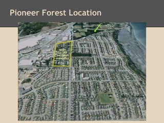 Pioneer Forest Location
 