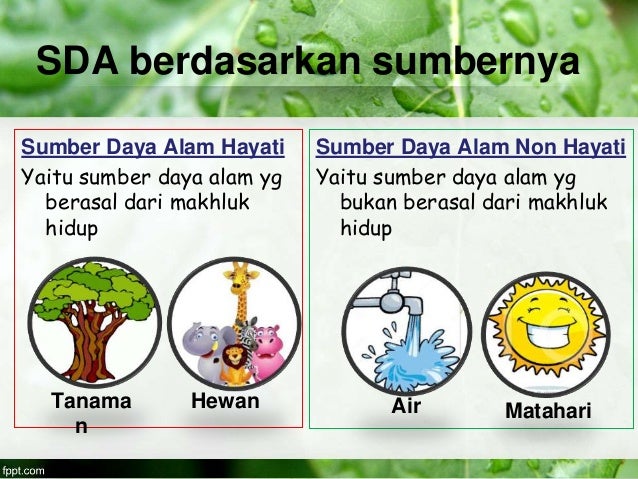 Sumber Daya Alam untuk SD Kelas 3 Sumber Daya Alam untuk SD Kelas 3