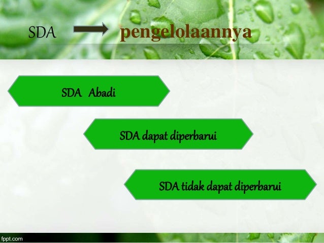 Sumber Daya Alam untuk SD Kelas 3