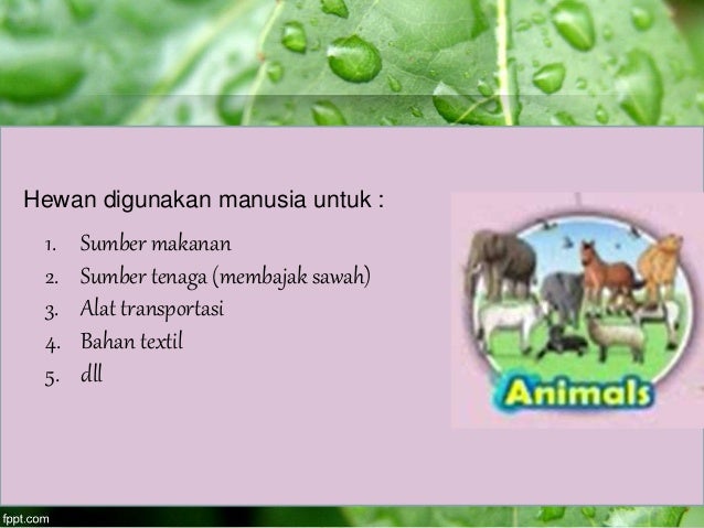 Sumber Daya Alam untuk SD Kelas 3