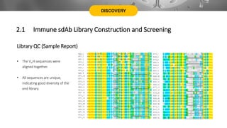 DISCOVERY
Library QC (Sample Report)
2.1 Immune sdAb Library Construction and Screening
• The VHH sequences were
aligned together.
• All sequences are unique,
indicating good diversity of the
end library.
 