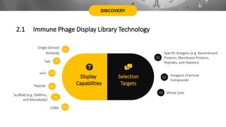 DISCOVERY
Display
Capabilities
Selection
Targets
Specific Antigens (e.g. Recombinant
Proteins, Membrane Proteins,
Peptides, and Haptens)
01
Inorganic Chemical
Compounds
02
Whole Cells
03
Single Domain
Antibody
01
Fab 02
scFv 03
Scaffold (e.g. DARPins,
and Monobody)
05
Peptide 04
cDNA 06
2.1 Immune Phage Display Library Technology
 