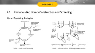 DISCOVERY
Library Screening Strategies
Option 1. Solid-Phase Screening Option 2. Solution-Sorting Screening (plate or beads)
2.1 Immune sdAb Library Construction and Screening
 