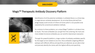 DISCOVERY
Magic™ Therapeutic Antibody Discovery Platform
Identification of all the potential candidates in antibody library is a critical step
in single domain antibody development. An enriched library derived from
phage display could consists of millions of clones which is not possible to be
covered by the conventional validation methods.
As a solution to these problems, our unique Magic™ platform is all about time
to results. The more antibodies you can get from the screening, the more and
more reliable-functional antibodies you can send for downstream evaluation.
Through this powerful platform, a large number of antibody candidates specific
for the target can be isolated at one time. Once antibodies targeting different
epitopes with different affinity and specificity are obtained, we are able to fast
and precisely identify the clones with the highest affinity and specificity.
 