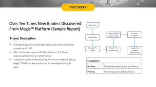 DISCOVERY
Over Ten Times New Binders Discovered
From Magic™ Platform (Sample Report)
Expectations
NucFreq Nucleotide sequence and abundance
ProFreq Protein sequence and abundance
• A phage display VHH antibody library was constructed with
a diversity of ~108.
• After the biopanning and ELISA validation, 5 VHH was
discovered from the enriched library.
• In order to cover all the diversity of the enriched sub-library,
Magic™ Platform was performed to investigate the VHH
pool.
Project Description
 