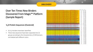 DISCOVERY
Over Ten Times New Binders
Discovered From Magic™ Platform
(Sample Report)
• 61 VHH binders have been identified.
• These new sequences have been separated into 22
groups according to the characteristics of CDR domains
and labeled with different colors.
VHH Protein Sequences (Clustered)
 