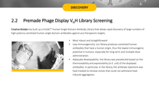 DISCOVERY
Creative Biolabs has built up a HuSdL™ Human Single Domain Antibody Library that allows rapid discovery of large numbers of
high-potency camelized human single domain antibodies against any therapeutic targets.
• Most robust and straightforward
• Low immunogenicity: our library produces camelized human
antibodies that have a human origin, thus the lowest immunogenic
potential in humans, especially for long-term and multiple-dose
administration.
• Adequate developability: the library was preselected based on the
thermostability and expressibility (in E. coli) of the displayed
antibodies. In particular, in the library, the antibody repertoire was
heat-treated to remove clones that could not withstand heat-
induced aggregation.
2.2 Premade Phage Display VHH Library Screening
 