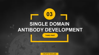 03
SINGLE DOMAIN
ANTIBODY DEVELOPMENT
THIRD PART
CREATIVE BIOLABS
 