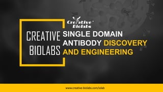 SINGLE DOMAIN
ANTIBODY DISCOVERY
AND ENGINEERING
CREATIVE
BIOLABS
www.creative-biolabs.com/sdab
 