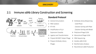 DISCOVERY
Standard Protocol
 Animal Immunization
 RNA Isolation
 RT-PCR
 Amplification of VHH
Expression Cassette
 Ligation and Transformation
 Prepare M13KO7 Helper Phage
 Prepare Antibody Library
Phages
 Antibody Library Biopanning
- Solid-Phase
- Solution-Sorting with Plate
- Solution-Sorting with Beads
 Polyclonal Phage ELISA
 Monoclonal Phage ELISA
 DNA Sequencing
 Soluble sdAb ELISA
 Bioinformatics Analysis
 Recombinant sdAb Production
2.1 Immune sdAb Library Construction and Screening
 