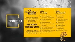 CONTENT
sdAb
Discovery
sdAb
Development
 Immune sdAb Library
Construction and Screening
 Premade sdAb Library
Screening
 Intrabody Discovery
 Anti-Membrane Protein sdAb
Discovery
 Anti-Idiotype sdAb Discovery
 Anti-BBB sdAb Discovery
 Anti-Albumins sdAb Discovery
 Custom sdAb Production
 De Novo sdAb
Sequencing
 sdAb Affinity Maturation
 sdAb Humanization
 Bispecific sdAb
Engineering
 sdAb Conjugation
 sdAb Stability
Improvement
 Antibody Camelization
Over 10 Years Extensive
Experience In Antibody
Discovery &
Development
EXCELSIOR
FLEXIBLE OPEN
High-Quality Service
Provider For Researchers
All Over The World!
 