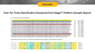 DISCOVERY
Over Ten Times New Binders Discovered From Magic™ Platform (Sample Report)
Compared with the five VHH binders rediscovered using the conventional method
VHH Protein Sequences (Raw)
 