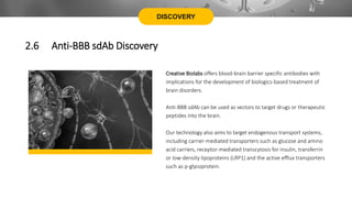 DISCOVERY
Creative Biolabs offers blood-brain barrier specific antibodies with
implications for the development of biologics-based treatment of
brain disorders.
Anti-BBB sdAb can be used as vectors to target drugs or therapeutic
peptides into the brain.
Our technology also aims to target endogenous transport systems,
including carrier-mediated transporters such as glucose and amino
acid carriers, receptor-mediated transcytosis for insulin, transferrin
or low-density lipoproteins (LRP1) and the active efflux transporters
such as p-glycoprotein.
2.6 Anti-BBB sdAb Discovery
 