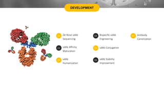 DEVELOPMENT
De Novo sdAb
Sequencing
01 Bispecific sdAb
Engineering
04
sdAb Affinity
Maturation
02 sdAb Conjugation
05
sdAb
Humanization
03 sdAb Stability
Improvement
06
Antibody
Camelization
07
 