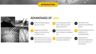 INTRODUCTION
ADVANTAGES OF sdAb
Smallest antibody fragment
with only ~15 kDa
01 Outstanding penetrability
which is able to cross the
blood-brain barrier
04
Recognize novel/hidden
epitopes that conventional
antibodies cannot
02 Short plasma half-life and
better clearance as diagnostic
tool
05
High stability to function and
exist within extreme conditions
and intracellular environment
03 Improved bioavailability for
therapeutic applications
06
Expressible in both
eukaryotic and prokaryotic
systems
07
Excellent chaperone for the
crystallization of
challenging targets
08
Great potential in
downstream engineering
(e.g. fusion protein and
humanization)
09
 
