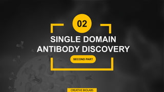 02
SINGLE DOMAIN
ANTIBODY DISCOVERY
SECOND PART
CREATIVE BIOLABS
 