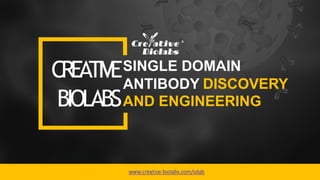 ANTIBODY DISCOVERY
CREATIVESINGLE DOMAIN
BIOLABSAND ENGINEERING
www.creative-biolabs.com/sdab
 