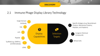 DISCOVERY
Display
Capabilities
Selection
Targets
Specific Antigens (e.g. Recombinant
Proteins, Membrane Proteins,
Peptides, and Haptens)
01
Inorganic Chemical
Compounds
02
03 Whole Cells
Single Domain
Antibody
01
Fab 02
scFv 03
Scaffold (e.g. DARPins,
and Monobody)
05
Peptide 04
cDNA 06
2.1 Immune Phage Display Library Technology
 