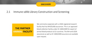 THE PARTNER
ANIMAL FACILITY
DISCOVERY
We commonly cooperate with a USDA registered research
facility that has NIH/OLAW assurances. This is an approved
blood collection facility under EC 1069/2009 for export of
animal blood products to EU countries. The NIH and USDA
assurances as well as EC 1069/2009 assurance are available
upon request.
2.1 Immune sdAb Library Construction and Screening
 