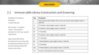DISCOVERY
Day Procedure
0
Primer Injection & Pre-bleed. 20 mL serum per animal. Inject antigen mixed 1:1
with CFA.
21 2nd Injection. Inject antigen mixed 1:1 with IFA.
42 3rd Injection. Inject antigen mixed 1:1 with IFA.
49 1st Test bleed.
63 4th Injection. Inject antigen mixed 1:1 with IFA.
70 2nd Test bleed.
84 1st Boost (Option). Inject antigen mixed 1:1 with IFA.
91 3rd Test bleed.
105 2nd Boost (Option). Inject antigen mixed 1:1 with IFA.
112 Production bleed/whole blood with heparin.
2.1 Immune sdAb Library Construction and Screening
Standard Immunization
Procedure
(3-week interval)
We are open to perform
custom immunization
procedure to meet your specific
requirement
High-quality RNA will be
extracted at the same day after
the production bleed to ensure
the best starting material for
library construction.
 