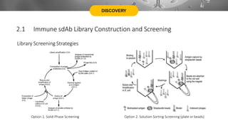 DISCOVERY
Library Screening Strategies
Option 1. Solid-Phase Screening Option 2. Solution-Sorting Screening (plate or beads)
2.1 Immune sdAb Library Construction and Screening
 