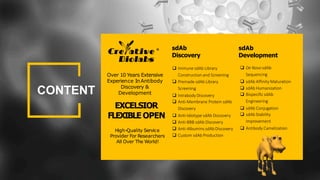 CONTENT
sdAb
Discovery
sdAb
Development
 Immune sdAb Library
Construction and Screening
 Premade sdAb Library
Screening
 Intrabody Discovery
 Anti-Membrane Protein sdAb
Discovery
 Anti-Idiotype sdAb Discovery
 Anti-BBB sdAb Discovery
 Anti-Albumins sdAb Discovery
 Custom sdAb Production
 De Novo sdAb
Sequencing
 sdAb Affinity Maturation
 sdAb Humanization
 Bispecific sdAb
Engineering
 sdAb Conjugation
 sdAbStability
Improvement
 Antibody Camelization
Over 10 Years Extensive
Experience InAntibody
Discovery &
Development
EXCELSIOR
FLEXIBLE OPEN
High-Quality Service
Provider For Researchers
All Over The World!
 