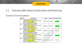 DISCOVERY
Example of Screening Report
2.1 Immune sdAb Library Construction and Screening
 