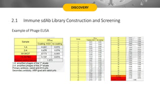 DISCOVERY
Example of Phage ELISA
2.1 Immune sdAb Library Construction and Screening
 