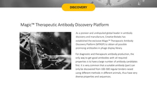 DISCOVERY
Magic™ Therapeutic Antibody Discovery Platform
As a pioneer and undisputed global leader in antibody
discovery and manufacture, Creative Biolabs has
established the exclusive Magic™ Therapeutic Antibody
Discovery Platform (MTADP) to obtain all possible
promising antibodies in phage display library.
For diagnostic and therapeutic antibody production, the
only way to get good antibodies with all required
properties is to have a large number of antibody candidates
first. It is very common that a suitable antibody (pair) can
only be discovered from 100-300 regular binders raised
using different methods in different animals, thus have very
diverse properties and sequences.
 