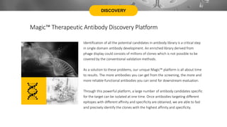 DISCOVERY
Magic™ Therapeutic Antibody Discovery Platform
Identification of all the potential candidates in antibody library is a critical step
in single domain antibody development. An enriched library derived from
phage display could consists of millions of clones which is not possible to be
covered by the conventional validation methods.
As a solution to these problems, our unique Magic™ platform is all about time
to results. The more antibodies you can get from the screening, the more and
more reliable-functional antibodies you can send for downstream evaluation.
Through this powerful platform, a large number of antibody candidates specific
for the target can be isolated at one time. Once antibodies targeting different
epitopes with different affinity and specificity are obtained, we are able to fast
and precisely identify the clones with the highest affinity and specificity.
 