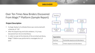 DISCOVERY
Over Ten Times New Binders Discovered
From Magic™ Platform (Sample Report)
Expectations
NucFreq Nucleotide sequence and abundance
ProFreq Protein sequence and abundance
Project Description
• A phage display VHH antibody library was constructed with
a diversity of ~108.
• After the biopanning and ELISA validation, 5 VHH was
discovered from the enriched library.
• In order to cover all the diversity of the enriched sub-library,
Magic™ Platform was performed to investigate the VHH
pool.
 