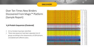 DISCOVERY
Over Ten Times New Binders
Discovered From Magic™ Platform
(Sample Report)
VHH Protein Sequences (Clustered)
• 61 VHH binders have been identified.
• These new sequences have been separated into 22
groups according to the characteristics of CDR domains
and labeled with different colors.
 
