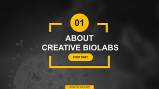01
ABOUT
CREATIVE BIOLABS
FIRST PART
CREATIVE BIOLABS
 