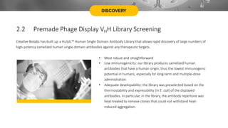 DISCOVERY
Creative Biolabs has built up a HuSdL™ Human Single Domain Antibody Library that allows rapid discovery of large numbers of
high-potency camelized human single domain antibodies against any therapeutic targets.
• Most robust and straightforward
• Low immunogenicity: our library produces camelized human
antibodies that have a human origin, thus the lowest immunogenic
potential in humans, especially for long-term and multiple-dose
administration.
• Adequate developability: the library was preselected based on the
thermostability and expressibility (in E. coli) of the displayed
antibodies. In particular, in the library, the antibody repertoire was
heat-treated to remove clones that could not withstand heat-
induced aggregation.
2.2 Premade Phage Display VHH Library Screening
 