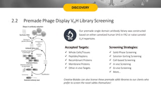 DISCOVERY
2.2 Premade Phage Display VHH Library Screening
Our premade single domain antibody library was constructed
based on either camelized human VH3 in FR2 or naïve camelid
VHH repertoire.
Accepted Targets: Screening Strategies:
 Whole Cells/Tissues
 Peptides/Haptens
 Recombinant Proteins
 Membrane Proteins
 Other in vivo Targets
 Solid-Phase Screening
 Solution-Sorting Screening
 Cell-based Screening
 In vivo Screening
 Ex vivo Screening
 More…
Creative Biolabs can also license these premade sdAb libraries to our clients who
prefer to screen the novel sdAbs themselves!
 