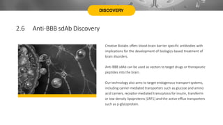 DISCOVERY
Creative Biolabs offers blood-brain barrier specific antibodies with
implications for the development of biologics-based treatment of
brain disorders.
Anti-BBB sdAb can be used as vectors to target drugs or therapeutic
peptides into the brain.
Our technology also aims to target endogenous transport systems,
including carrier-mediated transporters such as glucose and amino
acid carriers, receptor-mediated transcytosis for insulin, transferrin
or low-density lipoproteins (LRP1) and the active efflux transporters
such as p-glycoprotein.
2.6 Anti-BBB sdAb Discovery
 