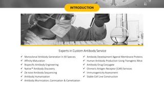 INTRODUCTION
Experts in Custom Antibody Service
 Monoclonal Antibody Generation In All Species
 Affinity Maturation
 Bispecific Antibody Engineering
 Native™ Antibody Discovery
 De novo Antibody Sequencing
 Antibody Humanization
 Antibody Murinization, Caninization & Camelization
 Antibody Development Against Membrane Proteins
 Human Antibody Production Using Transgenic Mice
 Antibody-Drug Conjugate
 Chimeric Antigen Receptor (CAR) Services
 Immunogenicity Assessment
 Stable Cell Line Construction
 