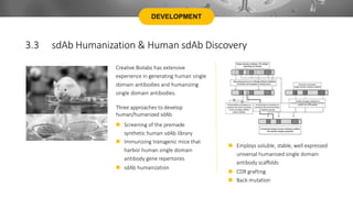 Creative Biolabs has extensive
experience in generating human single
domain antibodies and humanizing
single domain antibodies.
Three approaches to develop
human/humanized sdAb
 Screening of the premade
synthetic human sdAb library
 Immunizing transgenic mice that
harbor human single domain
antibody gene repertoires
 sdAb humanization
 Employs soluble, stable, well expressed
universal humanized single domain
antibody scaffolds
 CDR grafting
 Back-mutation
DEVELOPMENT
3.3 sdAb Humanization & Human sdAb Discovery
 