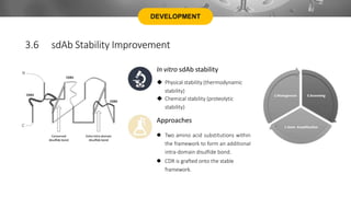 DEVELOPMENT
3.6 sdAb Stability Improvement
In vitro sdAb stability
 Physical stability (thermodynamic
stability)
 Chemical stability (proteolytic
stability)
Approaches
 Two amino acid substitutions within
the framework to form an additional
intra-domain disulfide bond.
 CDR is grafted onto the stable
framework.
 